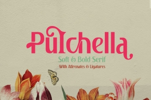 Pulchella Bold Serif Font Font Download