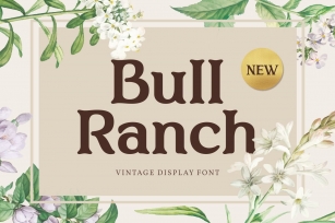 Bull Ranch - Vintage Display Font Font Download