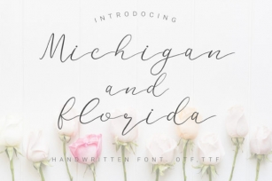 Michigan and Florida Font Download