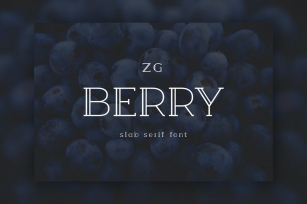 Berry Slab Serif Font Font Download