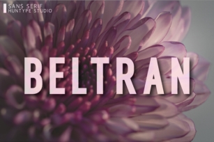 Beltran Font Download