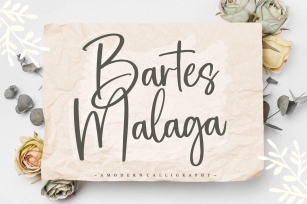Bartes Malaga Modern Calligraphy Font Font Download