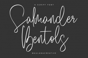 Salmander Bentols Script Signature Typeface Font Font Download