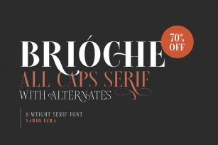 Brioche Family Font Download