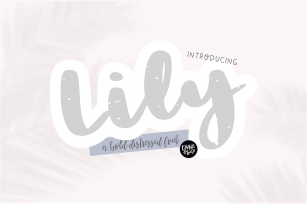 LILY a Bold Distressed Font Font Download