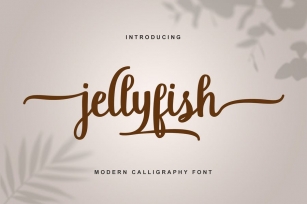 Jellyfish Script Font Download