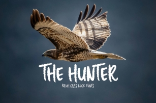 The Hunter Font Download