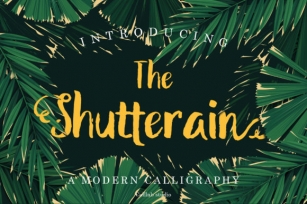 The Shutterain Font Download
