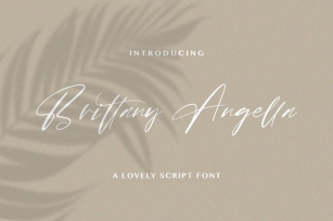 Brittany Angella - Lovely Script Font Font Download