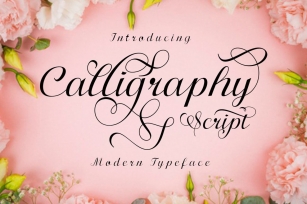 Calligraphy Script Font Download