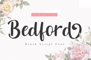 Bedford | A Brush Script Font Font Download