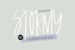STORMY a Textured Brush Font Font Download