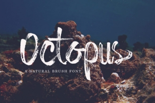 Octopus Font Download