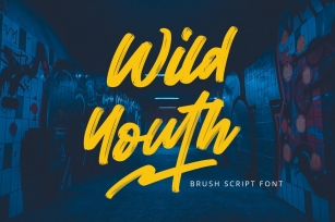 Wild Youth - Brush Script Font Font Download