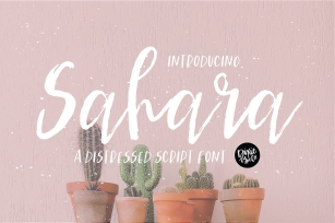 SAHARA a Distressed Brush Script Font Font Download