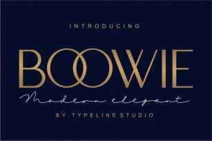 Boowie Font Download