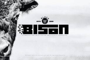 Black Bison Font Download