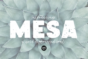 MESA a Bold Distressed Font Font Download