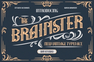 The Brainster - Display Font Font Download