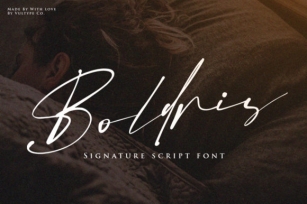 Boldris Font Download