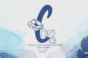 Carolina Monogram Font Font Download