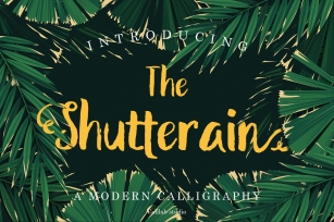 The Shutterain - A Modern Handwritten Font Font Download