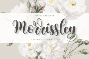 Morrissley | Modern Calligraphy Font Download