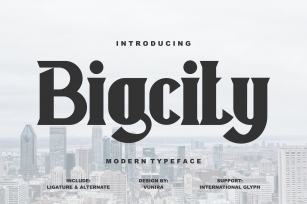 Bigcity | Modern Typeface Font Font Download