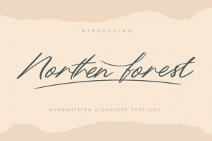 Northern Forest Font Download