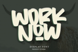 Worknow | Display Font Font Download