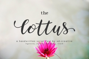 the lottus Font Download