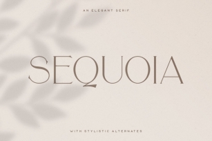 Sequoia Typeface Font Download