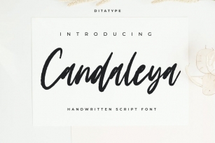 Candaleya - Modern Handwritten Font Font Download