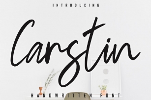 Carstin Handwritten Font Font Download