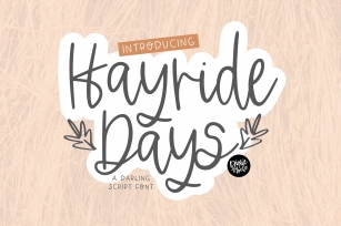 HAYRIDE DAYS a Handwriting Script Font Font Download