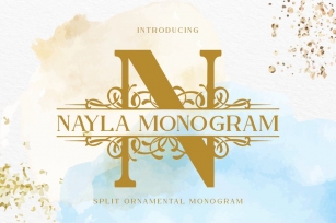 Nayla Split Monogram Font Font Download