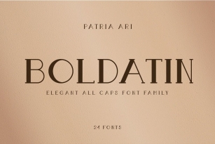 Boldatin Font Family Font Download