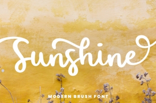 Sunshine I A Brush Script Font Font Download