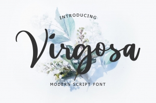 Virgosa Modern Script Font Font Download
