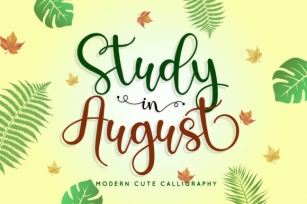 Study in August Font Download
