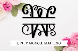 Split Fancy Monogram Trio - Clean & Hand Lettered! Font Download