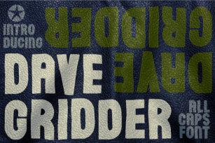 Dave Gridder Font Download