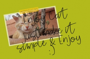 Enjoy Cat Font Download