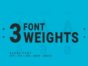 Burry Font Download