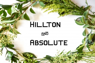 Hillton and Absolute Italic Font Download