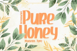 Pure Honey | Modern Type Font Download