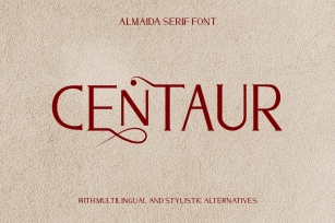 Almaida - Modern Serif Font Font Download
