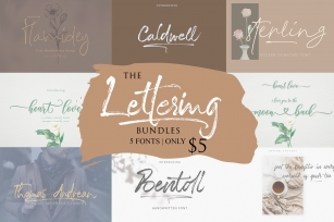The Lettering Bundles 5 Fonts Only $5 Font Download