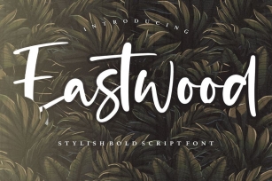 Eastwood YH - Bold Script Font Font Download