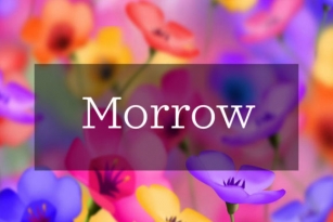 Morrow Font Download